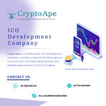 ico development company.jpg