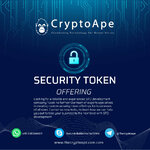 sto-25-02-2023-thecryptoape.jpg