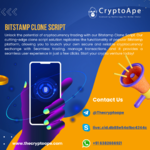 Bitstamp Clone Script.png