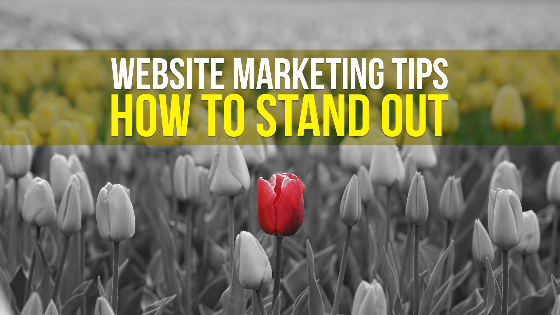Website Marketing Tips: How to Stand Out